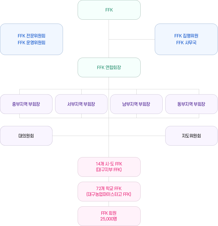 FFK조직 이미지